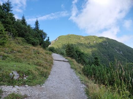 Fotografija s spletne strani Felix na poti