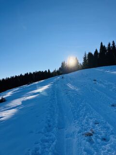 Photo de Andreas Steinkellner 4 le long du parcours