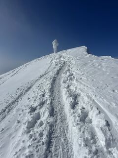 Fotografija s spletne strani Laura De Capitani na poti