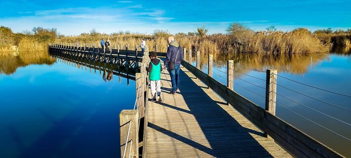 Naturreservat_des_Mejean_-_EXKLUSIV_ADT34_E_Brendle_3