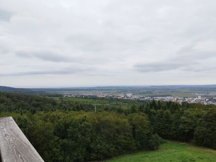 Fotografija s spletne strani Márta Tarjány na poti