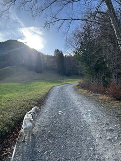 Fotografia z Bene Schadel na trase