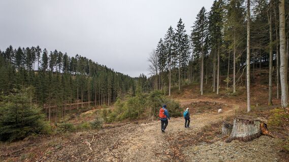 Foto von Klaus Lehner entlang der Tour