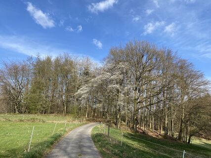 Photo de Karin Veh le long du parcours