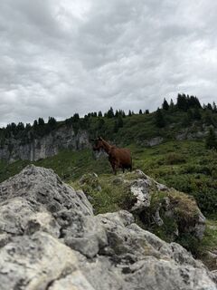 Photo de Luna Huijsegoms le long du parcours