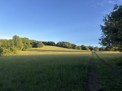 Foto de Reti Alicia a lo largo del recorrido