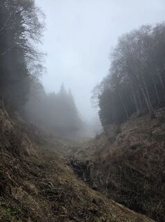 Fotografie z Anita Obermoser na trase