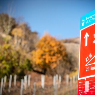 Schild mit der Entfernung zum Tzeusier See