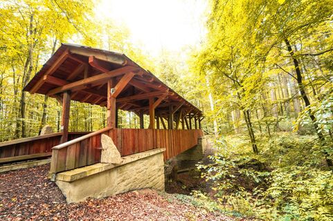 DSGVO Wander3Klang Eppingen Wald Herbst 3 web