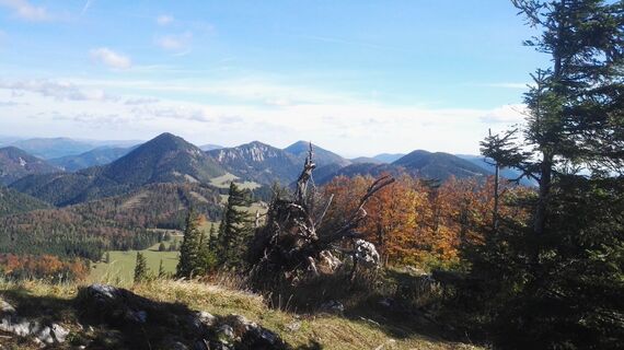 Mamauwiese, Schober und Öhler von der Dürren Leiten
