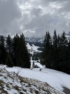 Foto von Sabine Bauch entlang der Tour