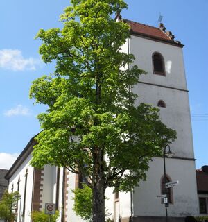 Katholische Kirche St. Michael Aichhalden
