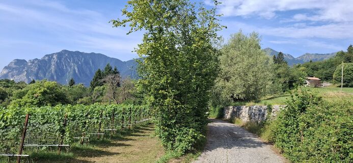 Foto von David Bubenheim entlang der Tour