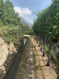 Foto von Matthias Mall entlang der Tour