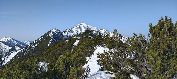 Zdjęcie z Tanya Mayer wzdłuż trasy