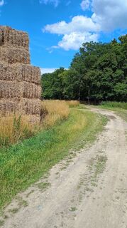 Foto de Heiko a lo largo del recorrido