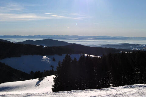 Alpenblick oberhalb von Herrenschwand