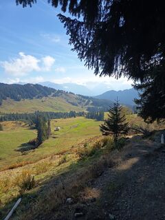 Photo de Bettina Miller 1 le long du parcours
