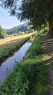 Foto von Yetizassel entlang der Tour