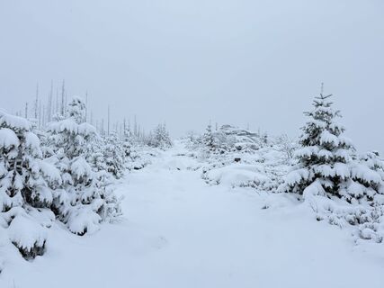 Photo de Dani Geiger / Natur_erleben_dg le long du parcours