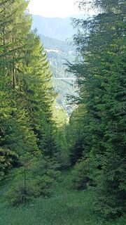 Foto från Bergpirat under resans gång