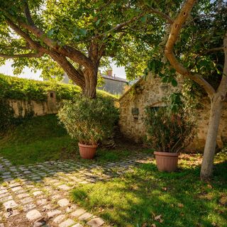 Kellergasse Purbach