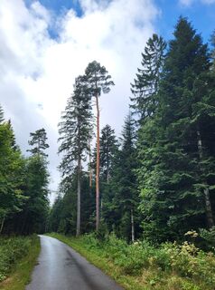 Foto von yolanda beck entlang der Tour