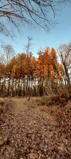 Fotografie z COSIMO SERRA na trase