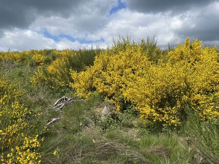 Fotografie z Olaf Mönig na trase