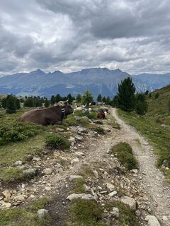 Foto von Nils Gernand entlang der Tour