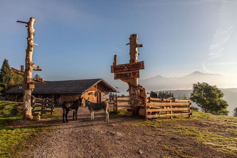 Die Hütte Malga Corno mit ihrem wunderschönen Panorama