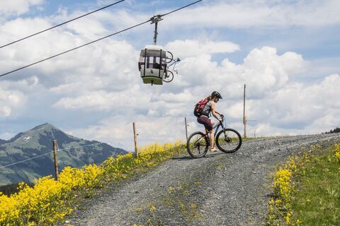 Wildschönau MTB Markbachjochbahn