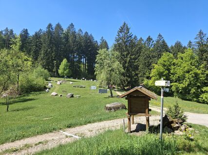 Fotografia z Tatjana Pachinger 1 na trase