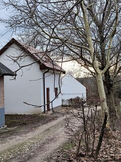 Photo de Julika Jármer le long du parcours