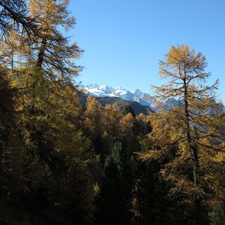 Auf dem Höhenweg Visperterminen Gspon