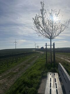 Foto von Wilfried Wagner entlang der Tour