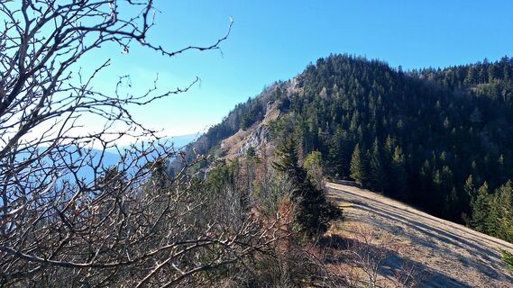 Фото с сайта Regina Fleischmann во время экскурсии