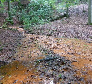 Gelbes Wasser