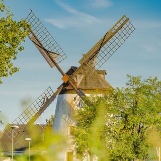 Windmühle Podersdorf am See