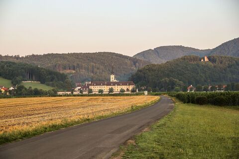 Landesgutweg vor dem Stift Rein