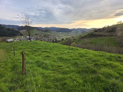 Fotografia z W B MA na trase