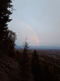 Foto von uhu321 entlang der Tour