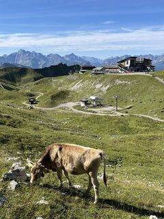 Foto von Gert Schulz entlang der Tour