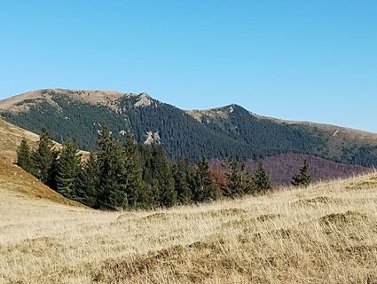 Fotografia z Tasurinki Mitote na trase