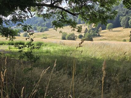 Fotografija s spletne strani Nick na poti