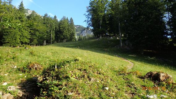 Aufstieg zur Schiwiese