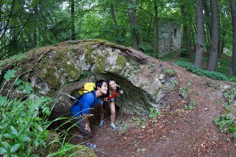 Burgruine Ehrenfels