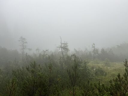 Fotografie z Manuel Härtenberger na trase