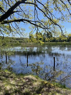 Fotografija s spletne strani René Reichert na poti