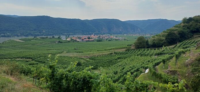 Fotografia z Ewald Reil 1 na trase